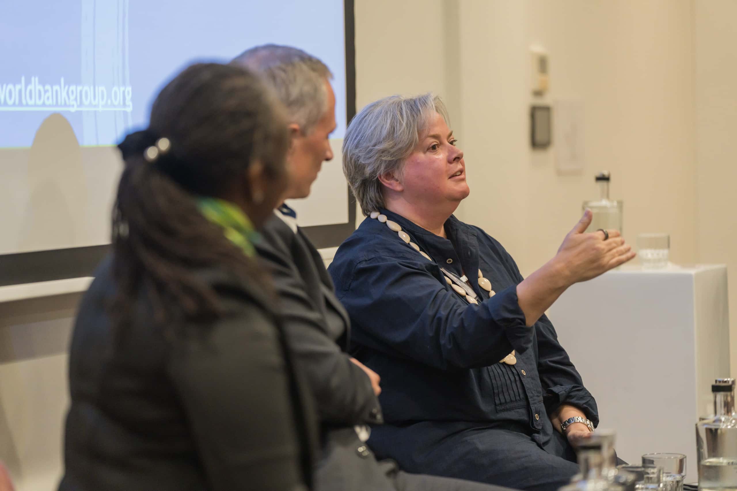 Panelgesprek met de WBG-medewerkers